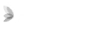 Copyright